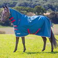 Shires Tempest Original 0g Combo Neck Turnout Horse Rug - Teal