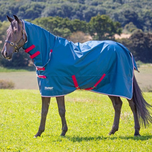 Shires tempest original - shires,
