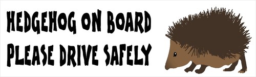 Hedgehog board drive - drive, safely