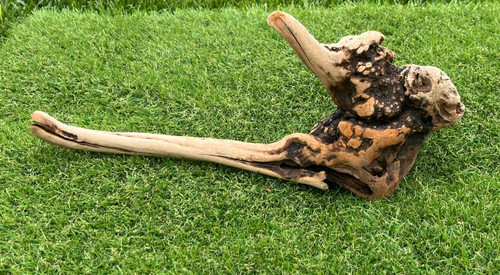 Large hardwood natural - large,