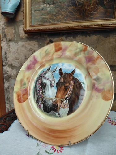 Beautiful arabian horse - beautiful,
