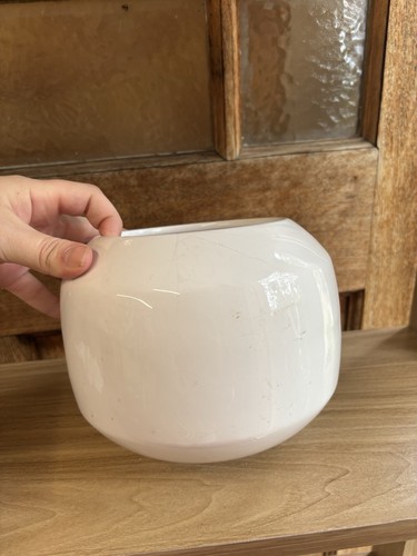Vintage white ceramic plant - vintage,