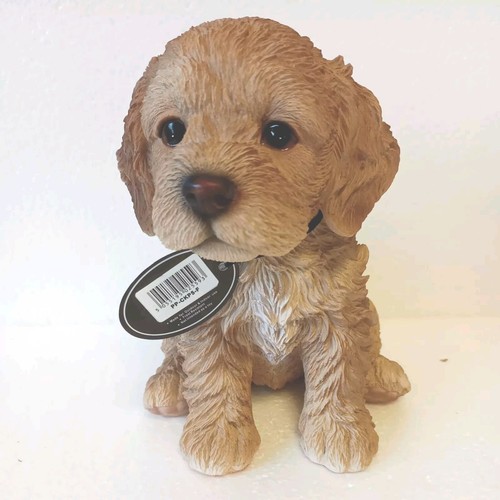Vivid arts brown cockapoo pet - arts,