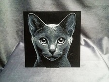 Russian blue cat - russian,