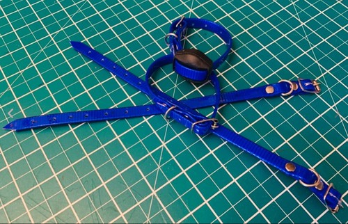Ferreting collar bright blue - 1,