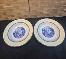 Vintage Spode Giallo Soup