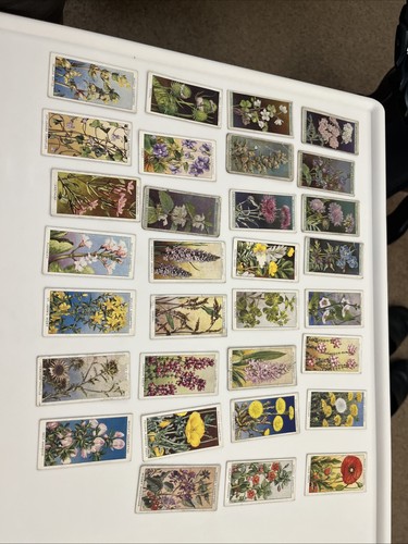Wills cigarette cards - wills,