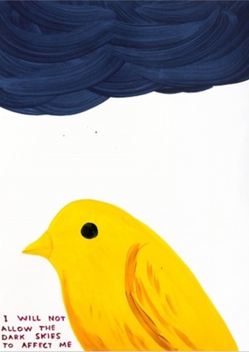 David shrigley will - david, not