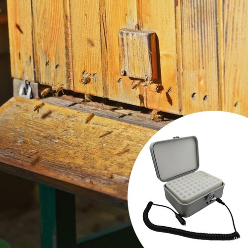 Bee incubator queen rearing - bee,