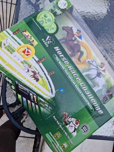 Horse racing - horse,