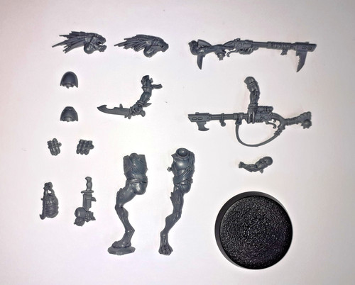 Kroot carnivores long quill - kroot, 2