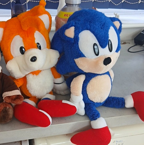Sonic the hedgehog - hedgehog, very