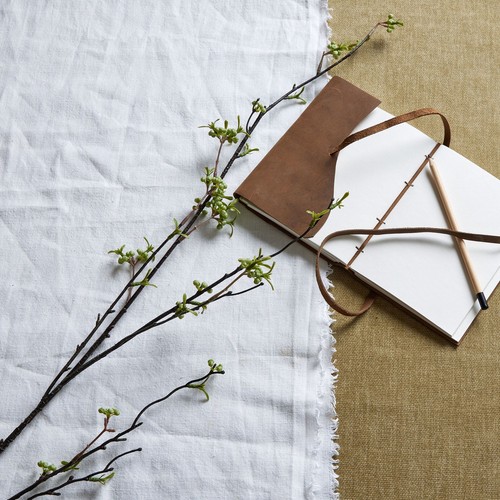 Green berry - willow, stem