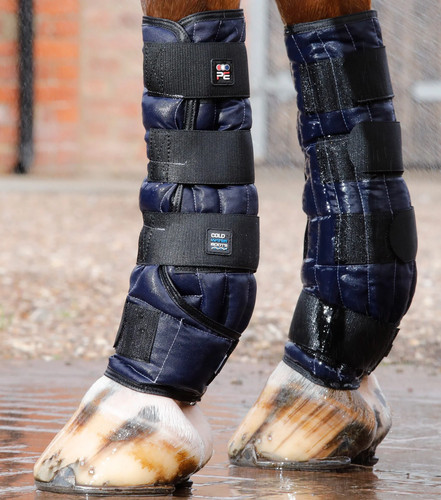 Premier equine cold water - equine,