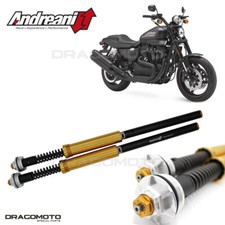 HARLEY-DAVIDSON XR 1200