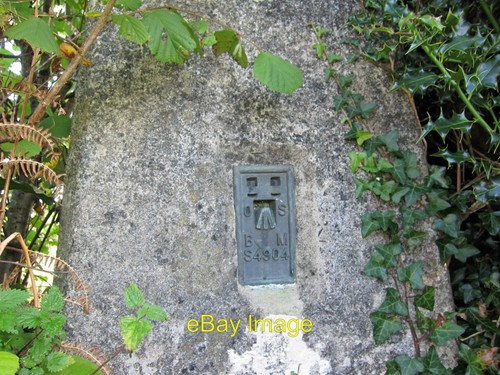Photo 12x8 trig - photo,