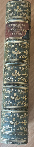 Antique 1884 evenings the - antique,