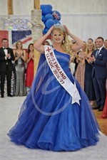 Professionally Taken Photo of