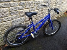 Raleigh KRUSH 20" Girls Bike