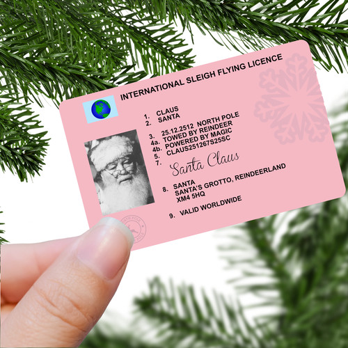 Santa claus lost international - claus,