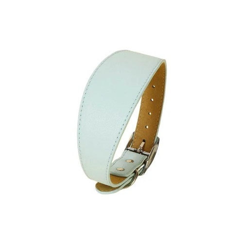 Whippet leather dog collar - whippet,
