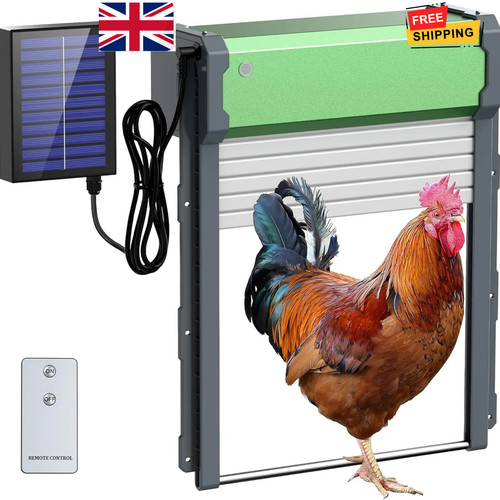 Automatic chicken coop - chicken, door
