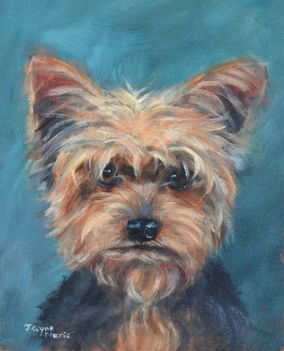 Jayne marie original oil - jayne,