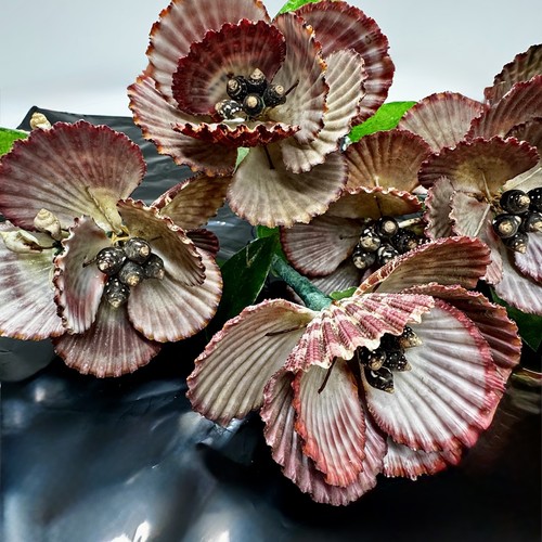 1970 seashell capiz - 1970’s,