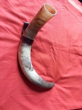 cow horn, medieval viking drinking style with belt loop