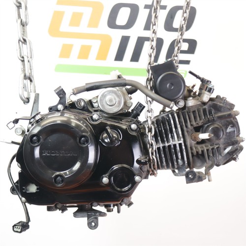 2025 honda msx125 grom engine - honda,