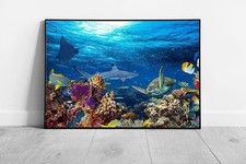 Coral Reef Sea Life Wall Art