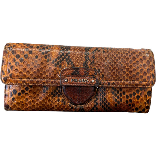Prada women python - prada,