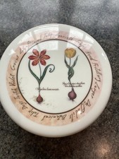 Vintage Cloverleaf Tulip Bulbs 6 Coaster Set