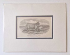 W. FORREST Ewe & Lamb, South