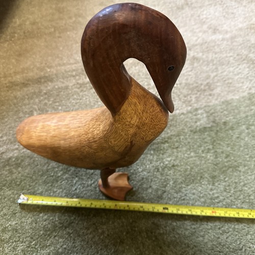 Dcuk the duck - dcuk, company