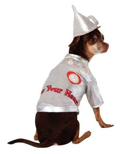 The wizard tin man - man, pet