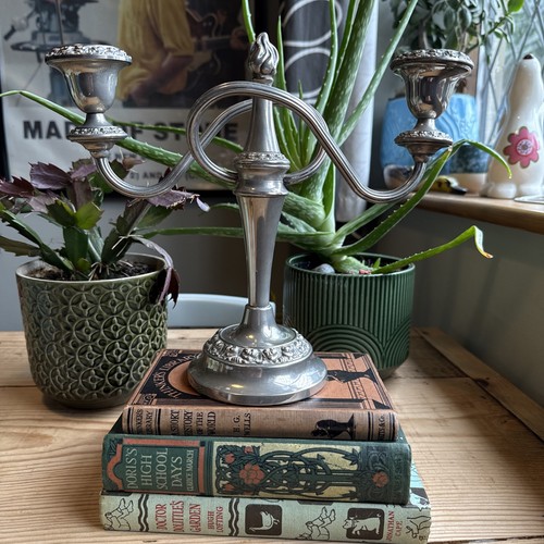 Elegant mid century - mid-century, ian