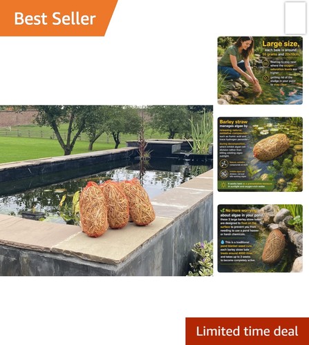 Natural barley straw - natural,