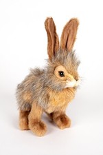 Hansa 3581 Jack Rabbit Sitting