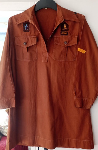 Vintage brownies dress girl - brownies,