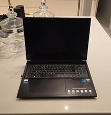 Medion Erazer Spezialist P10