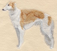 Borzoi  Russian Wolf Dog
