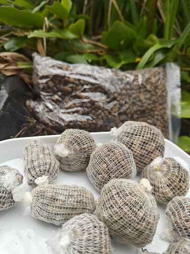 125 195 std carp bait - std,