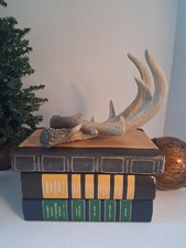 Resin Faux Antler,& Faux Book