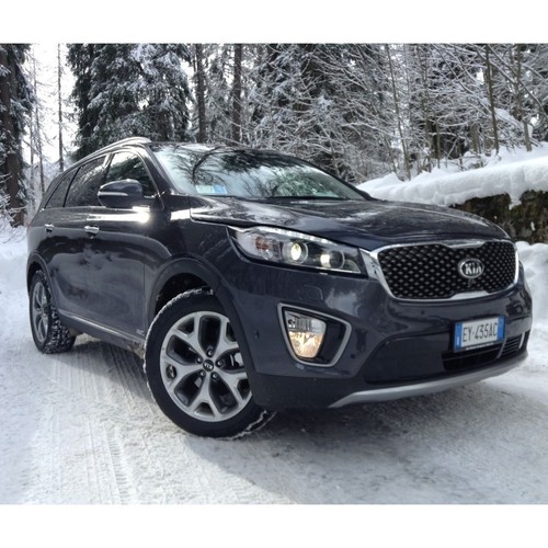 Pet world kia - sorento, 2015