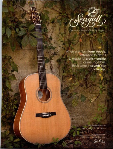 Vintage 2014 seagull guitar - 2014,