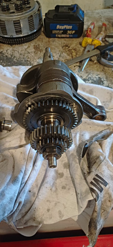 Apache rlx450 crank and - apache,