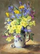 Anne cotterill art - anne, blank
