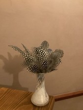 Guinea  Fowl Feathers  Crafts Card Making Fly Tying Arts