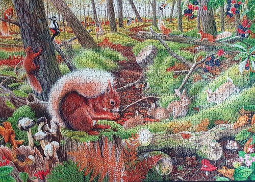 House puzzles hop 1000 - of,